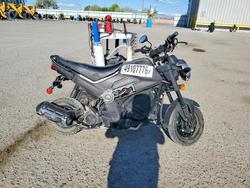 Salvage motorcycles for sale at Tucson, AZ auction: 2025 Honda NVA110 B