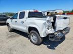 2025 Chevrolet Colorado