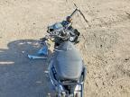 2025 Other ST-150