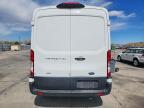 2023 Ford Transit 250 Delivery Van