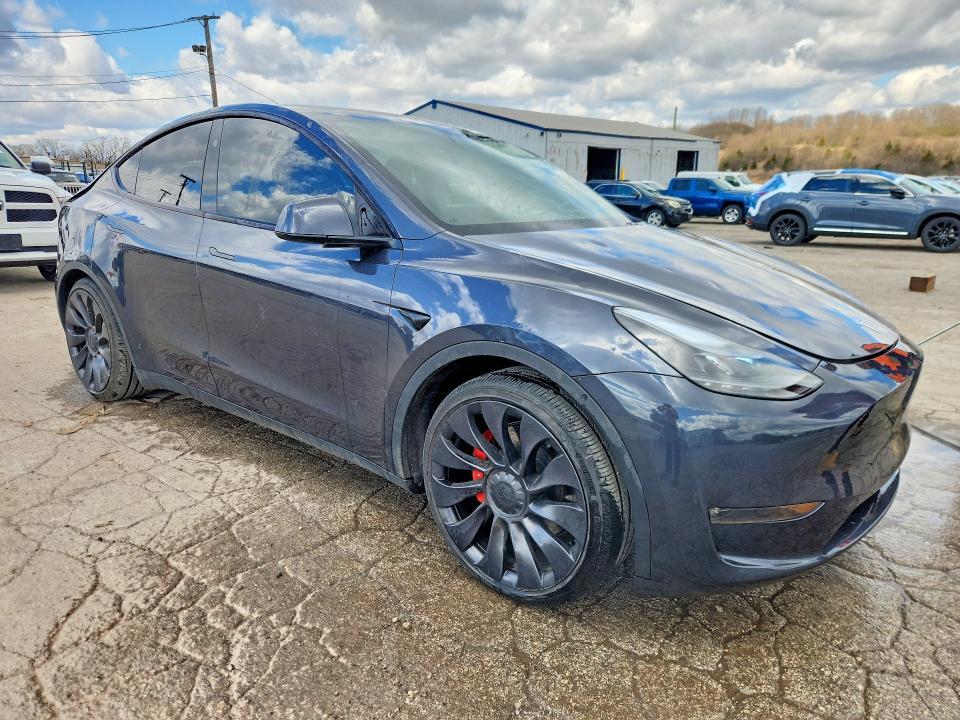 2024 Tesla Model y