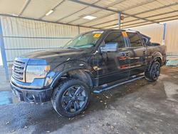 Salvage trucks for sale at Brighton, CO auction: 2014 Ford F150 Supercrew