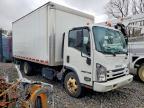2018 Isuzu NQR BOX Truck