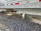 2006 Timpte Grain Trailer