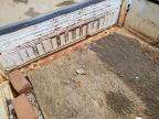 2003 Toyota Tundra Base