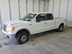 2013 Ford F150 Supercrew en venta en Homestead, FL