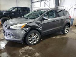 2014 Ford Escape Titanium for sale in Ham Lake, MN
