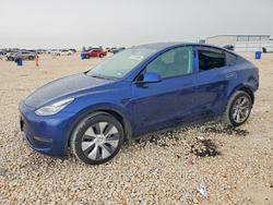 Tesla salvage cars for sale: 2023 Tesla Model y