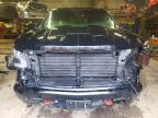 2024 Chevrolet Silverado K1500 LT Trail Boss