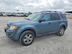 Ford salvage cars for sale: 2012 Ford Escape xlt