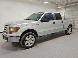 Salvage trucks for sale at Phoenix, AZ auction: 2010 Ford F150 Supercrew