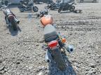2023 Royal Enfield Motors INT 650