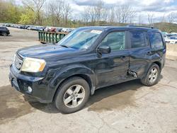 2009 Honda Pilot exl for sale in Marlboro, NY