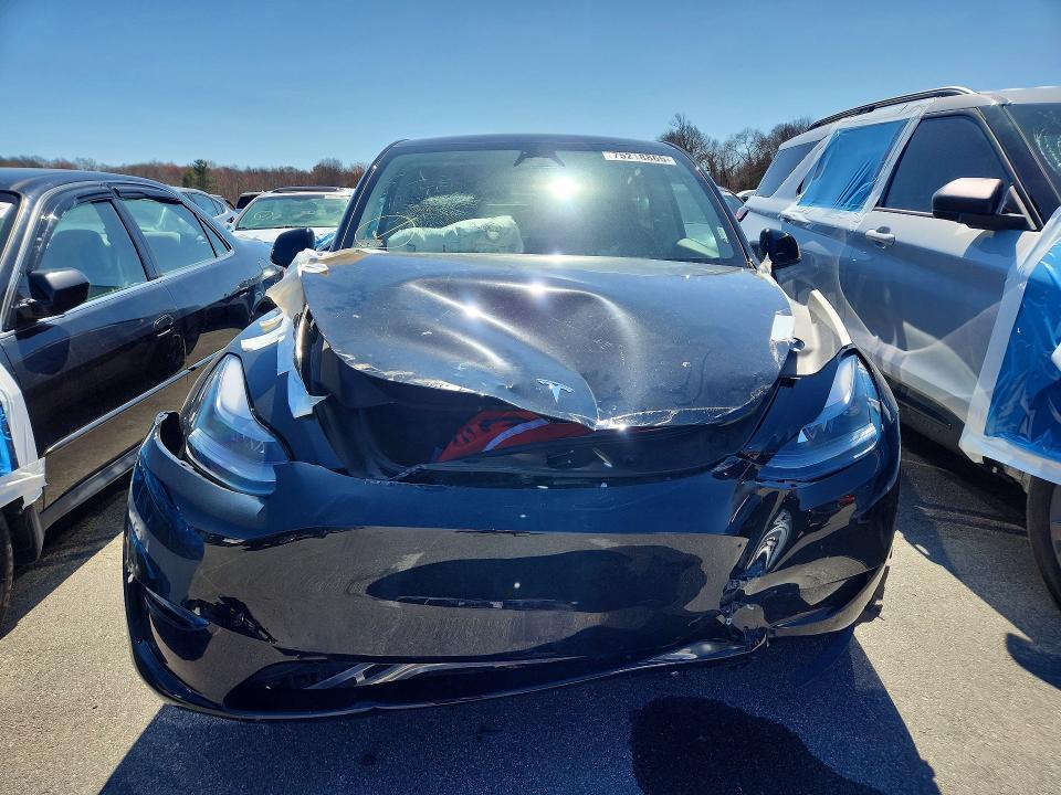 2025 Tesla Model y