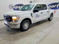 Ford Vehiculos salvage en venta: 2021 Ford F150