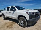 2024 Chevrolet Colorado