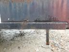 2009 Wells Cargo Enclosed Cargo Trailer