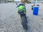 2024 Kawasaki EX650 P