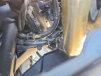 2024 Yamaha XTZ690