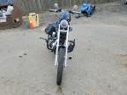 2005 Harley-Davidson XL1200 C