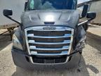 2019 Freightliner Cascadia 116