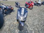 2024 Honda WW160 A