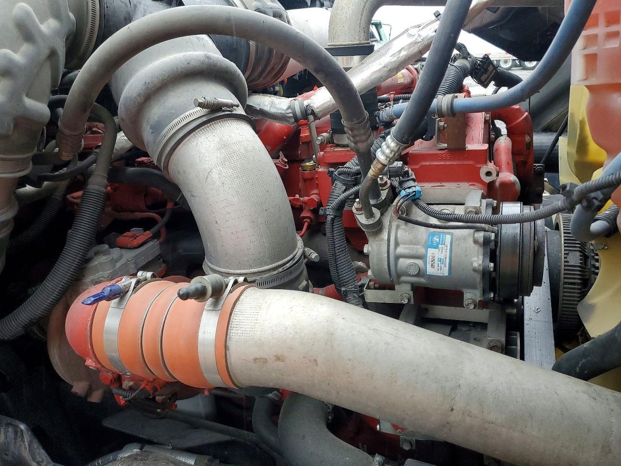 2019 International Lonestar