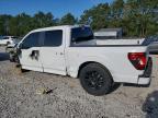 2024 Ford F150 STX
