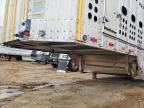 2024 Merritt Livestock Trailer