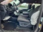 2024 Ford F150 XLT