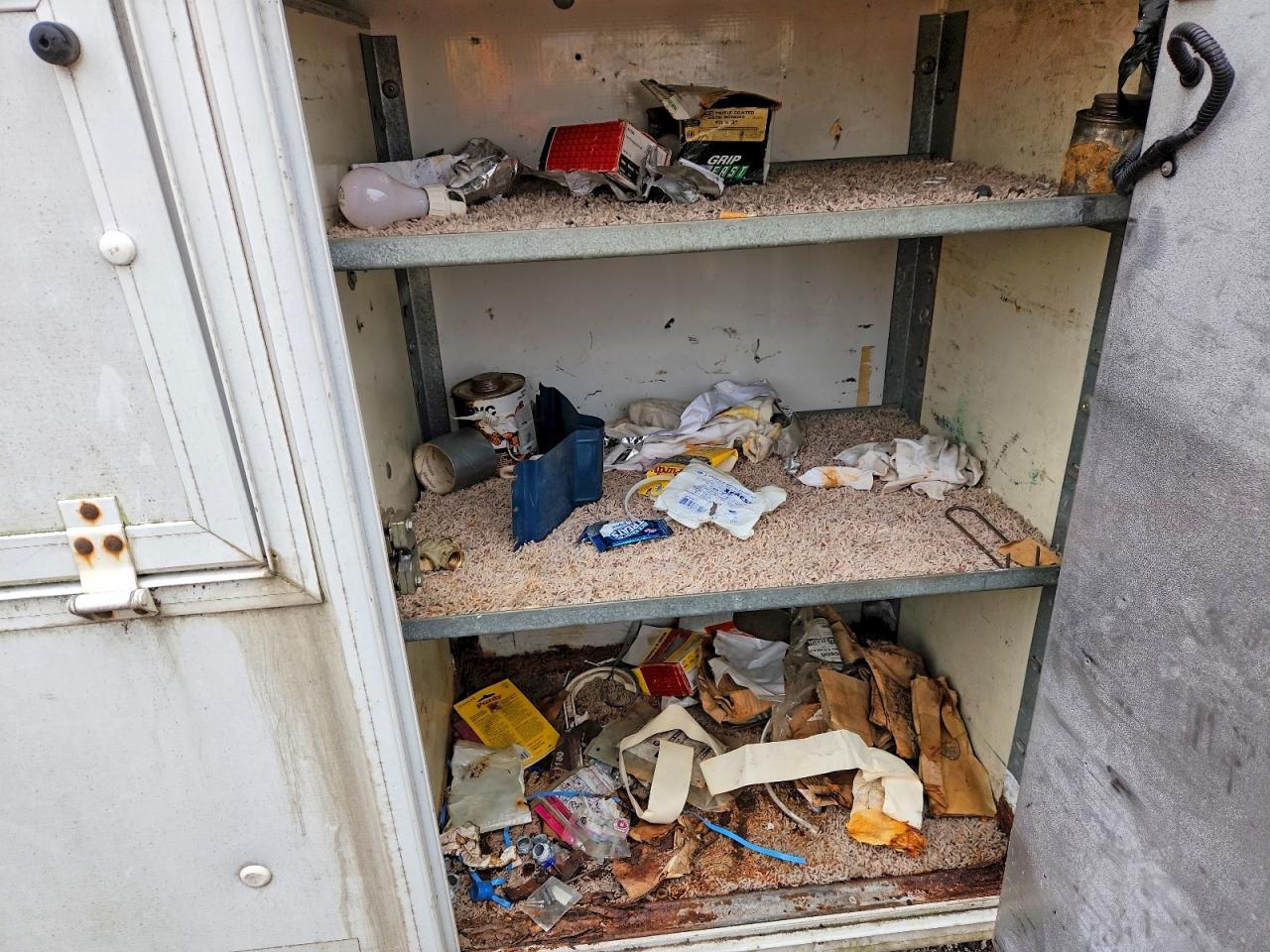 2006 Chev Express Cutaway