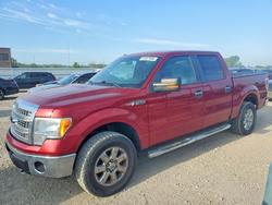 Salvage trucks for sale at Kansas City, KS auction: 2014 Ford F150 Supercrew