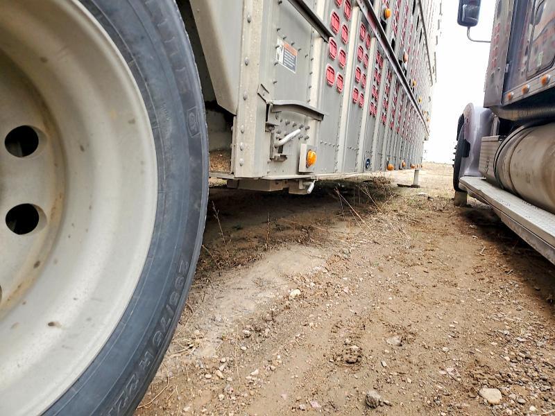 2015 Wilson Trailer