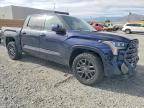 2023 Toyota Tundra Platinum HV