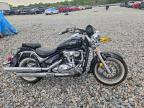 2005 Suzuki C50