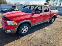 2010 Dodge RAM 1500 en venta en Bowmanville, ON