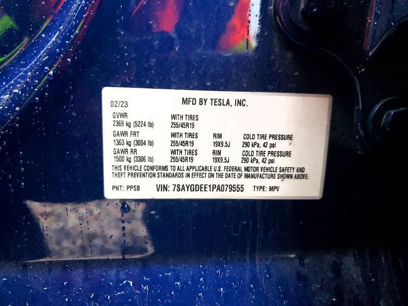 2023 Tesla Model y