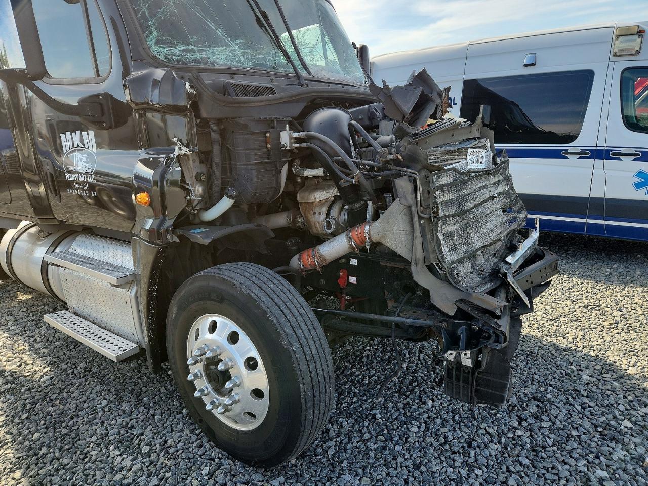 2015 Freightliner Cascadia 125