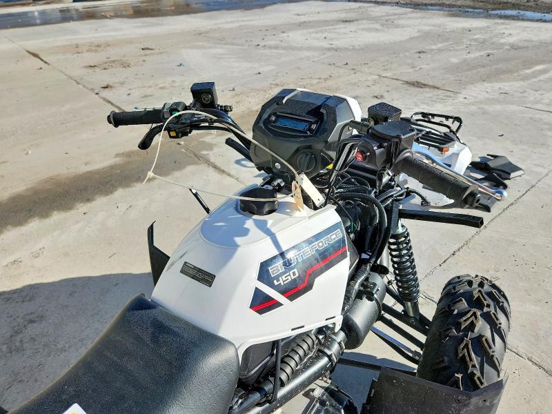 2025 Kawasaki Brute Force 450 ATV