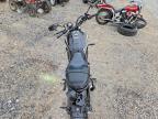 2024 Yama MTM690
