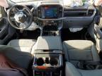 2025 Ford F150 XLT