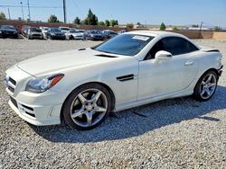 Mercedes-Benz Slk-class salvage cars for sale: 2013 Mercedes-Benz Slk 250