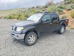 Salvage trucks for sale at Reno, NV auction: 2006 Nissan Frontier SE