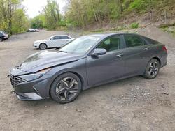 Hyundai Elantra salvage cars for sale: 2022 Hyundai Elantra Limited