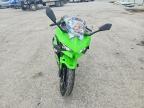 2025 Kawasaki EX500 H