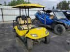 2021 Icon Golf Cart