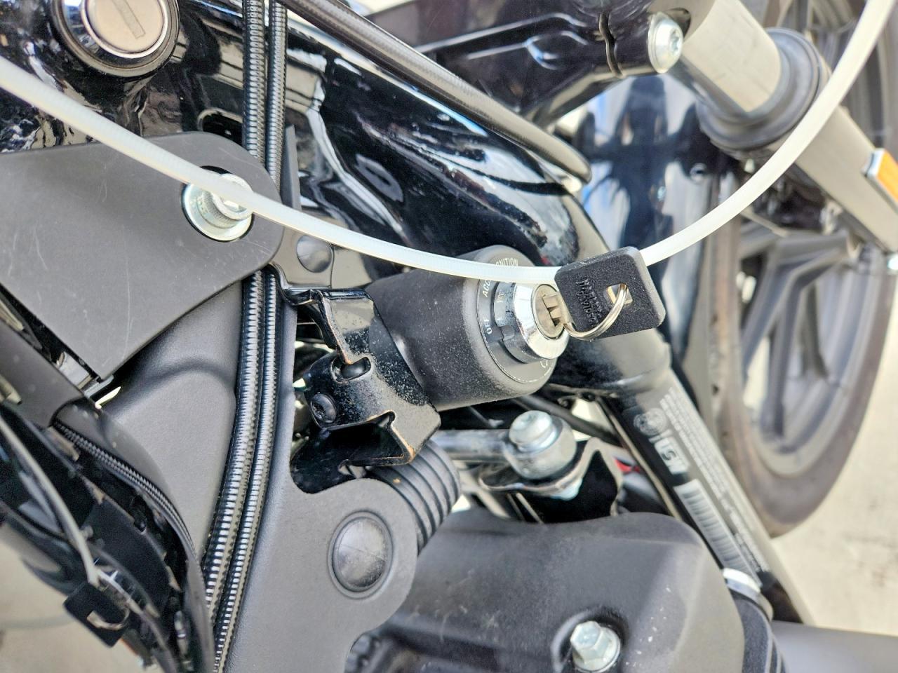 2020 Harley-Davidson XL1200 NS