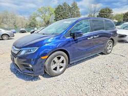 2020 Honda Odyssey exl for sale in Madisonville, TN