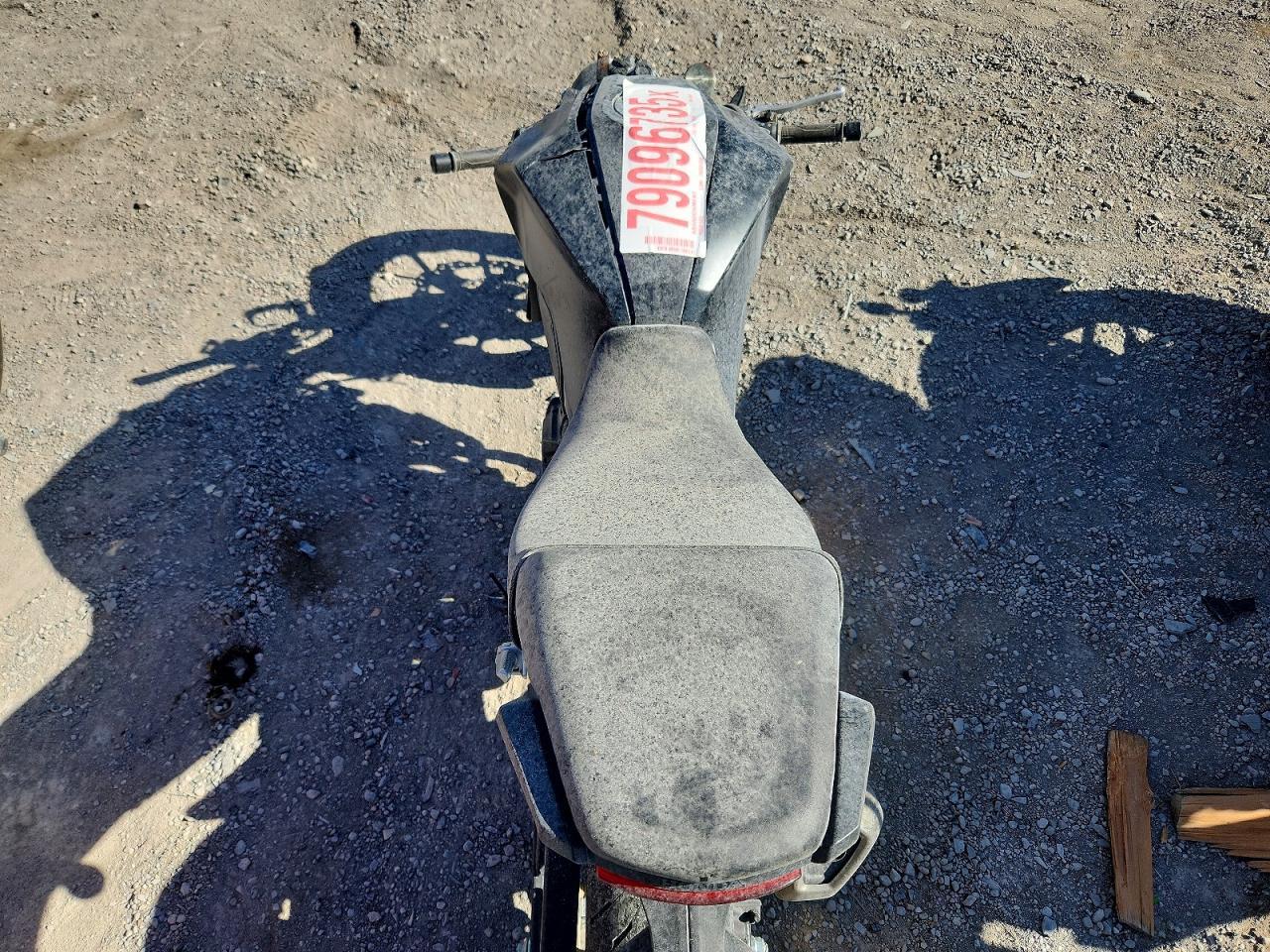 2024 Honda CBR300