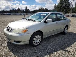 2003 Toyota Corolla le for sale in Spanaway, WA